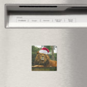 Kerstleeuw met Santa Hat Magneet (Insitu (Vaatwasser))