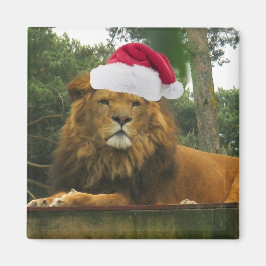 Kerstleeuw met Santa Hat Magneet (Voorkant)