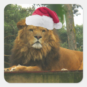 Kerstleeuw met Santa Hat Vierkante Sticker