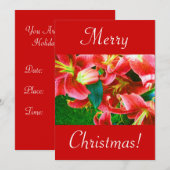 Kerstlelies I Kaart (Voorkant / Achterkant)