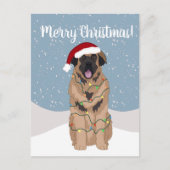 KerstLeonberger Briefkaart (Voorkant)