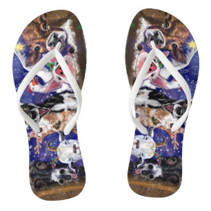 Kerstlied - Dierenfeest - Happy Teenslippers