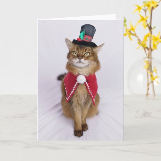 Kerstlied Somali Kat  Kaart (Gele Bloem)