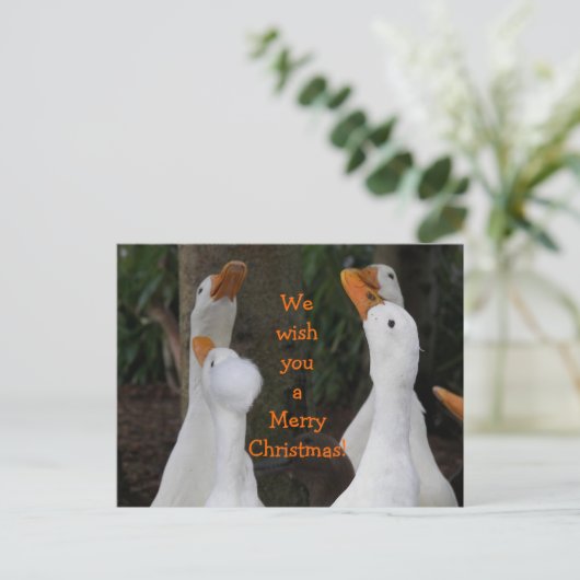 Kerstlied zingende witte eenden feestdagenkaart (Staand voorkant)