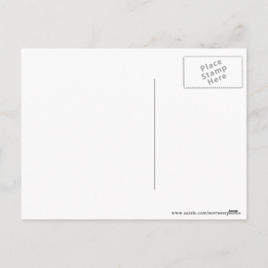 Kerstlied zingende witte eenden Kerstmis Feestdagenkaart (Achterkant)