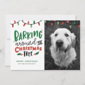 Kerstliedjes blaffend rond de kerstboom Honden Ker Feestdagenkaart (Voorkant)