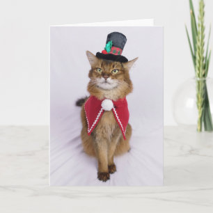 Kerstliedjes zingende Somalische kat  Kaart
