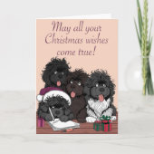 Kerstlijst en kerstwensen feestdagen kaart (Voorkant)