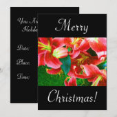 kerstlilies kaart (Voorkant / Achterkant)