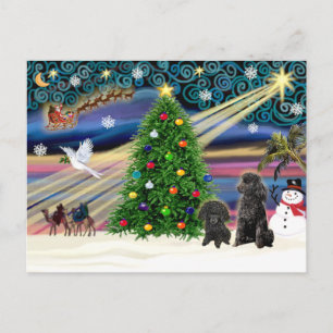 Kerstmagi Poodles (twee zwarte Toy) Feestdagenkaart