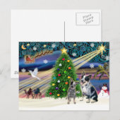 Kerstmagie Australische Rundvee Honden (2) Feestdagenkaart (Voorkant / Achterkant)