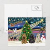 Kerstmagie Cocker Spaniels (drie) Feestdagenkaart (Voorkant / Achterkant)