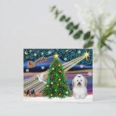 Kerstmagie Coton De Tulear Feestdagenkaart (Staand voorkant)