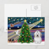 Kerstmagie Coton De Tulear Feestdagenkaart (Voorkant / Achterkant)