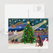 Kerstmagie Doberman Pinscher (rood) Feestdagenkaart (Voorkant / Achterkant)