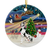 Kerstmagie - Harlequin Dog