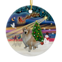 Kerstmagie - Lichtbruine Retriever 10