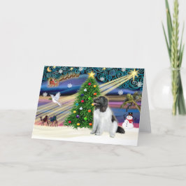 Kerstmagie Newfoundland (Landseer) Feestdagen Kaart