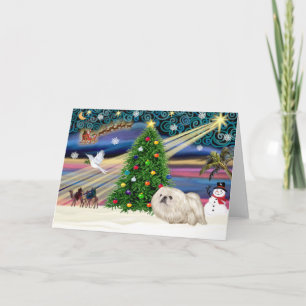 Kerstmagie Pekingees (wit) Feestdagen Kaart