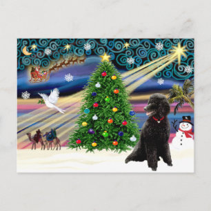 Kerstmagie Poodle (zwarte standaard) Feestdagenkaart