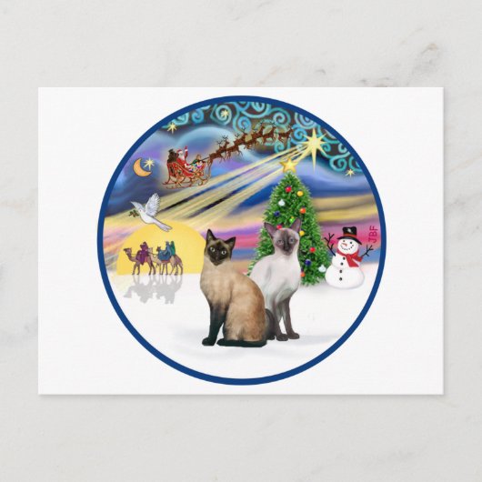 Kerstmagie (R) - Twee Siamese katten Feestdagenkaart (Voorkant)