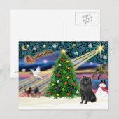 Kerstmagie Schipperke Feestdagenkaart (Voorkant / Achterkant)