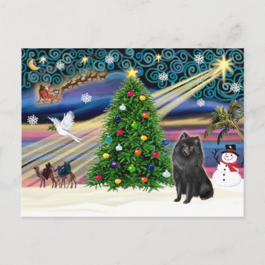 Kerstmagie Schipperke Feestdagenkaart (Voorkant)