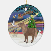 Kerstmagie - Shetlandpony Keramisch Ornament (Links)