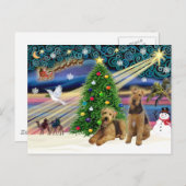 Kerstmagie - Twee Airedales Feestdagenkaart (Voorkant / Achterkant)