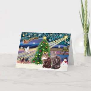 Kerstmagie - Twee Maine Coon katten Feestdagen Kaart