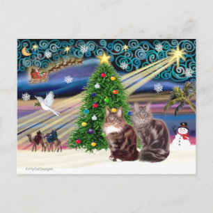 Kerstmagie - Twee Maine Coon katten Feestdagenkaart