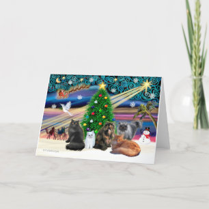Kerstmagie - Vijf Perzische katten Feestdagen Kaart