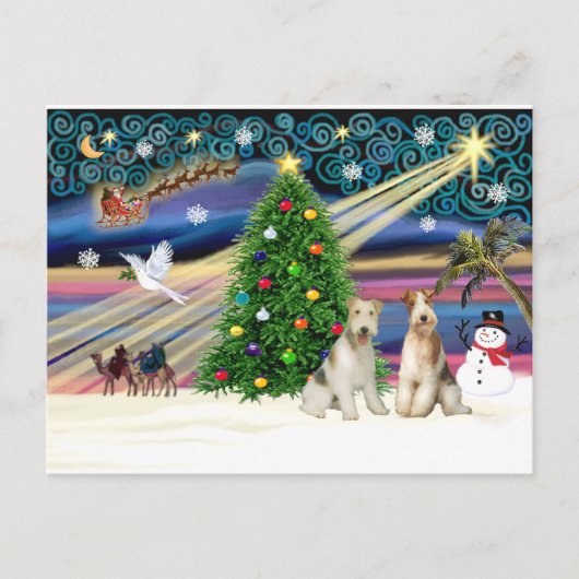 Kerstmagie - Wire Fox Terriers (twee) Feestdagenkaart (Voorkant)