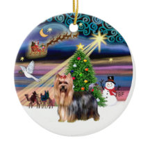 Kerstmagie - Yorkie 9