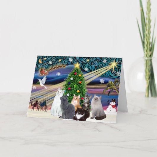 Kerstmagie - Zes katten (variëteit) Feestdagen Kaart (Voorkant)
