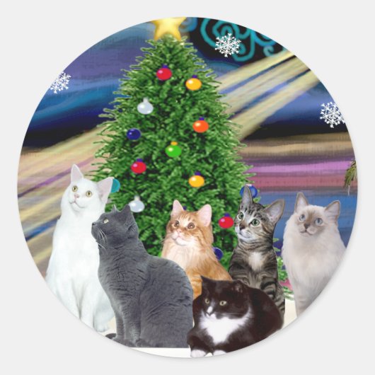 Kerstmagie - Zes katten (variëteit) Ronde Sticker (Voorkant)