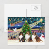 Kerstmagische Shetland Sheepdogs (drie) Feestdagenkaart (Voorkant / Achterkant)