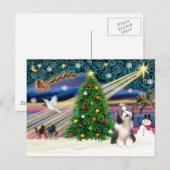 Kerstmagneet Bearded Collie 4 Feestdagenkaart (Voorkant / Achterkant)