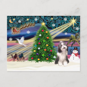 Kerstmagneet Bearded Collie 4 Feestdagenkaart