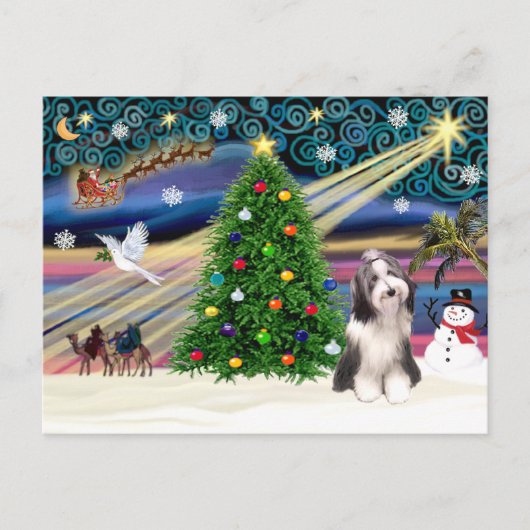 Kerstmagneet Bearded Collie 4 Feestdagenkaart (Voorkant)