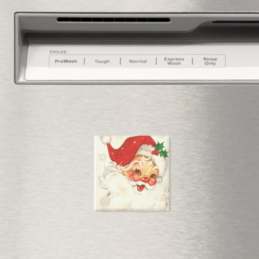  kerstmagneet magneet (Insitu (Vaatwasser))