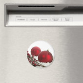 kerstmagneet magneet (Insitu (Vaatwasser))