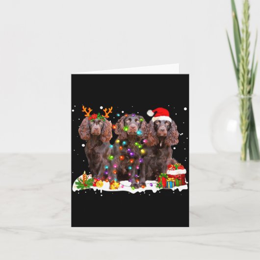 Kerstman Boykin Spaniel Hond Mooi Rendier Kerstmis Kaart (Voorkant)