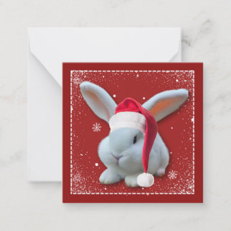 Kerstman Bunny Seizoen Groeten Kaart Notitiekaartje