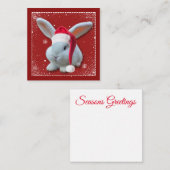 Kerstman Bunny Seizoen Groeten Kaart Notitiekaartje (Voorkant / Achterkant)