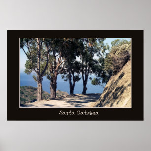 Kerstman Catalina Poster