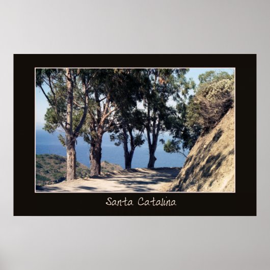 Kerstman Catalina Poster (Voorkant)
