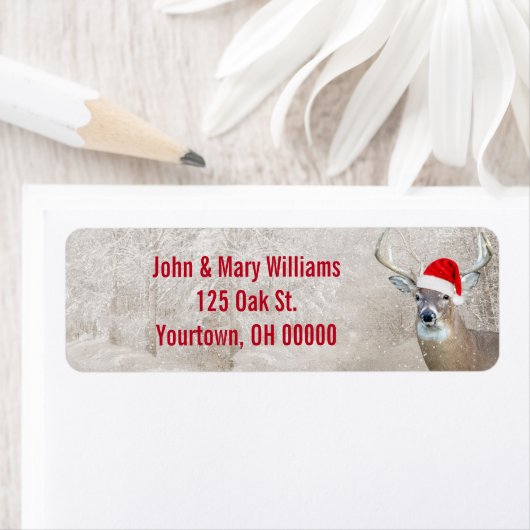 Kerstman Deer met Santa Hat Etiket (Insitu)