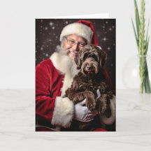 Kerstman en Labradoodle
