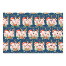 Kerstman en rendieren varkens